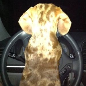 Meet your Posher, Colin